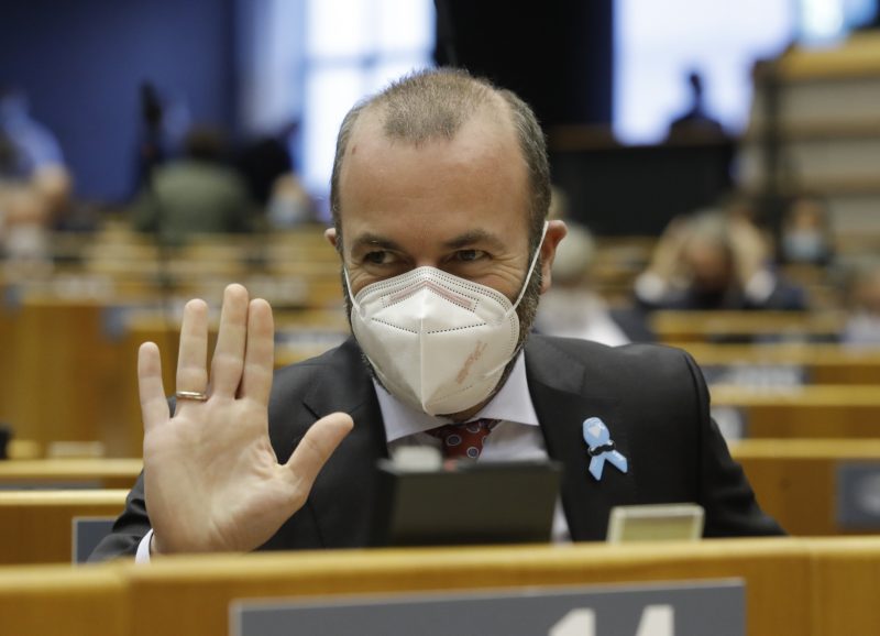Les Verts de la nouvelle coalition « pro-européenne » pourraient trouver les réformes de l’UE problématiques