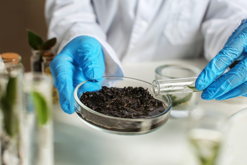 L’UE alloue 320 millions d’euros à la recherche sur la santé des sols afin de contribuer à l’élimination du carbone