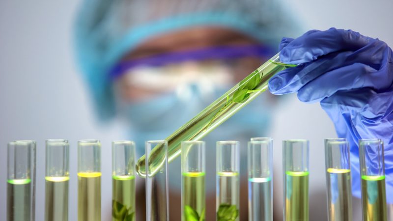 Glyphosate : 99 % des études scientifiques ont été exclues de l’expertise européenne, selon un rapport de Générations Futures