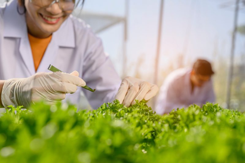 Horizon Europe : renforcement budgétaire pour 2022, une bonne nouvelle pour l’agroalimentaire