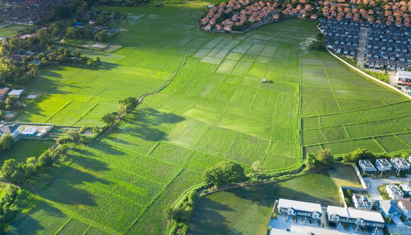Lutte contre l'accaparement des terres agricoles : le Sénat vient d'adopter une petite loi