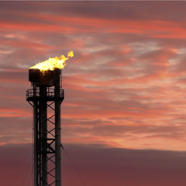 L'Irlande rejoint les signataires du Global Methane Pledge