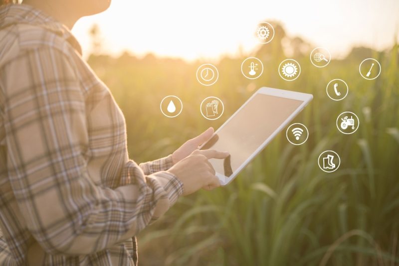 Qu’y a-t-il à l’horizon pour l’agriculture ?