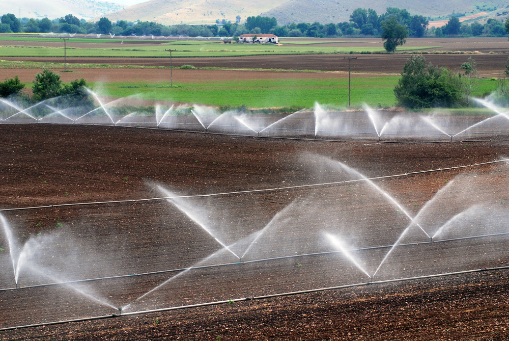 Irrigation,Of,Agricultural,Field