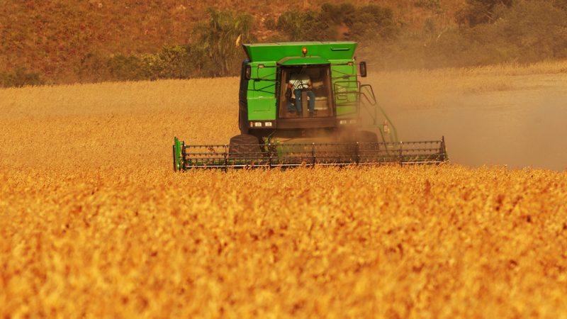 Espagne: le stockage du carbone dans les sols agricoles envisagé comme solution au problème climatique