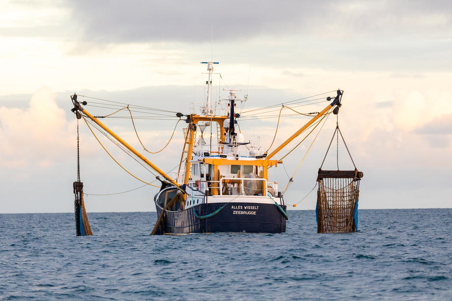 Brexit negotiations over fisheries agreement