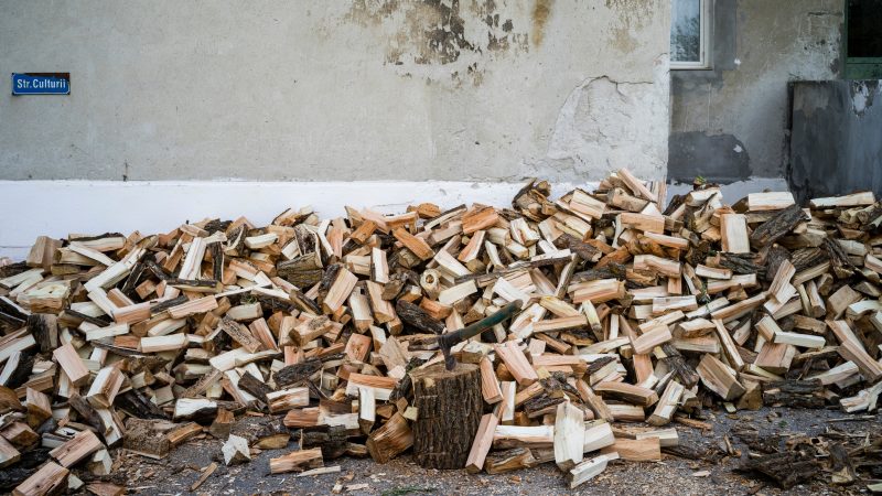 Roumanie : selon le ministre de l’Énergie, il n'y aura pas d'interdiction du chauffage au bois à usage domestique