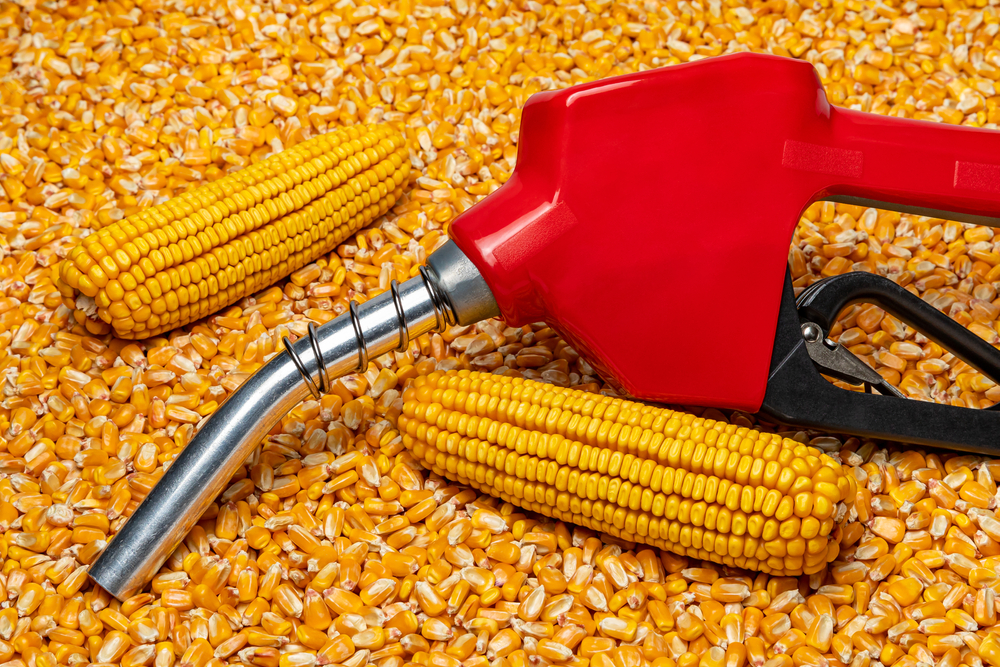 Ethanol,Gasoline,Fuel,Nozzle,And,Corn,Kernels.,Biofuel,,Agriculture,And