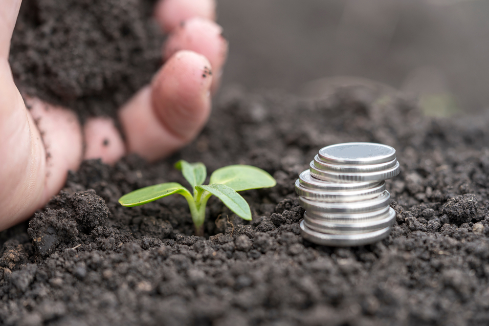 Silver,Coins,With,Green,Leaves,And,Soil,,Financial,Growth,Concept