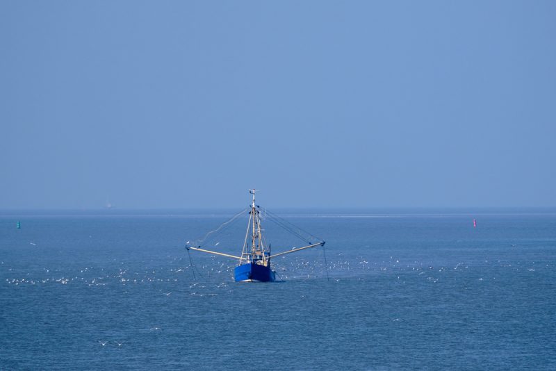 Les pêcheurs seront reçus vendredi 17 décembre par Macron à l'Elysée