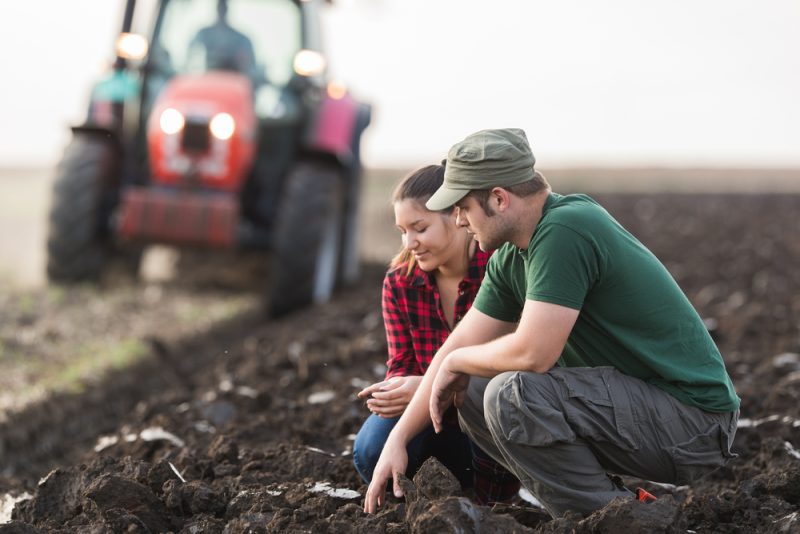 Recensement agricole : le renouvellement générationnel au cœur des défis pour l’avenir de l’agriculture