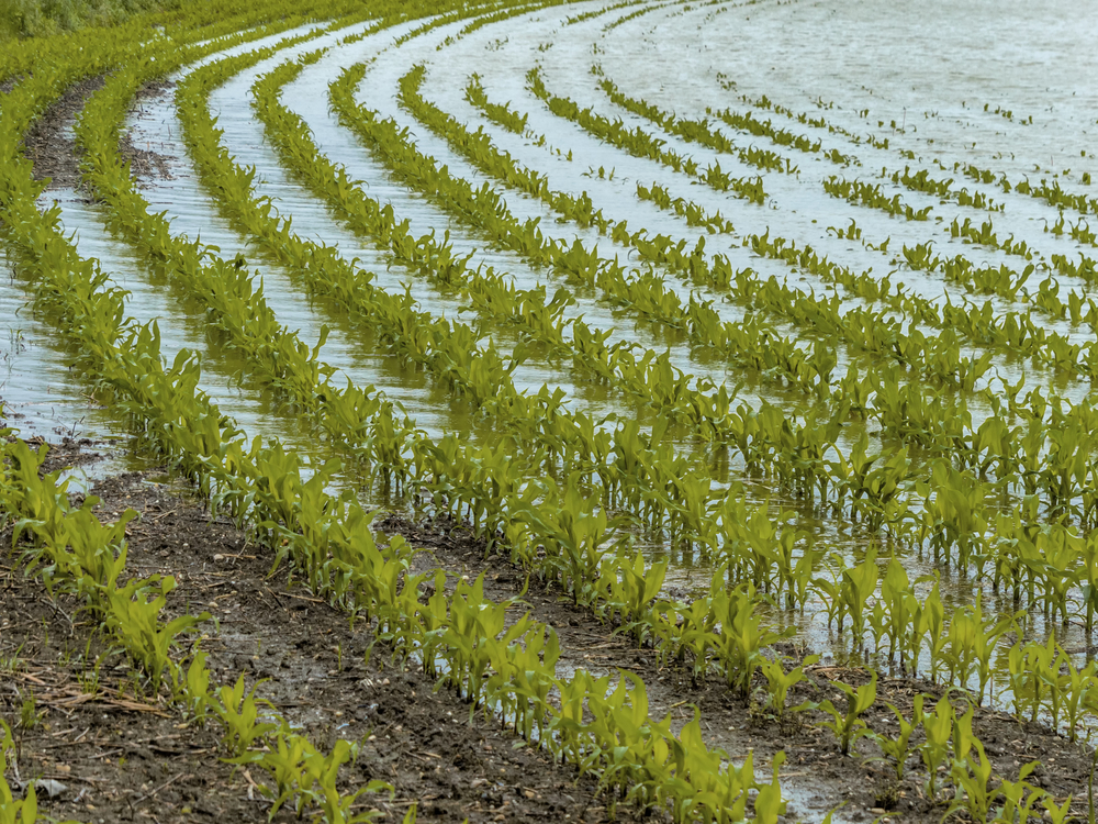 Flood,Of,2013.,Austria.,Flooding,And,Flooding,In,Agriculture