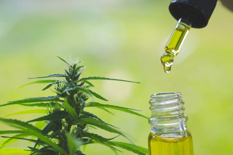 Le Conseil d'État suspend l'interdiction de la vente des fleurs de cannabis
