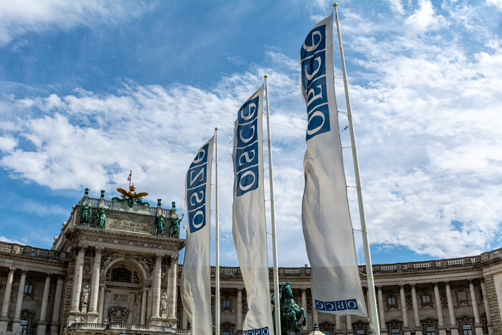 Vienna,,Austria,-,07092021:,Flags,Of,The,Organization,For,Security