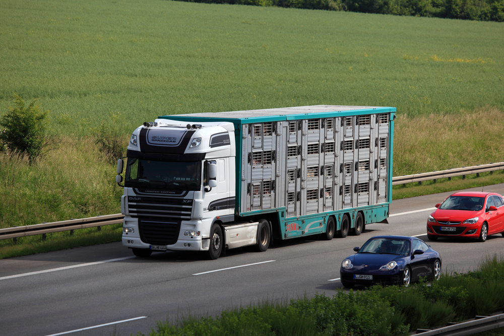 Leipzig,,Germany,-,June,1:,Animal,Transport,Truck,On,The