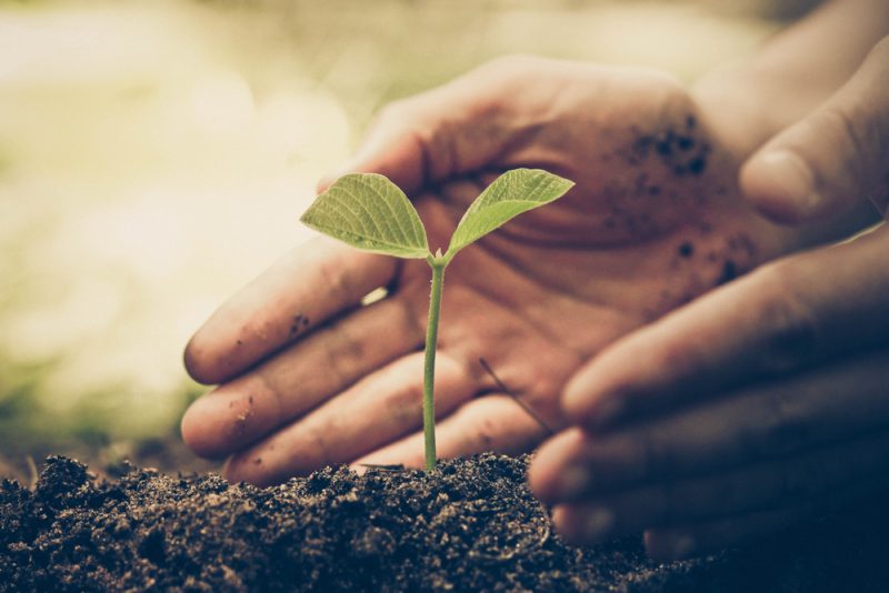 PAC : l'ambition environnementale du plan stratégique national de la France divise les esprits