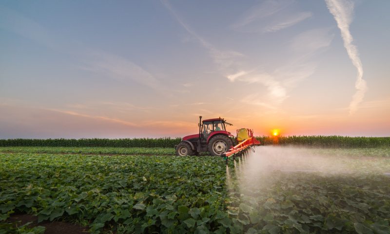 Pesticides : la réglementation allemande comporterait des lacunes importantes, selon un rapport