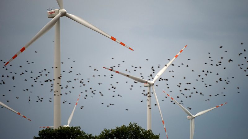 Une révision en profondeur proposée pour la directive européenne sur les énergies renouvelables