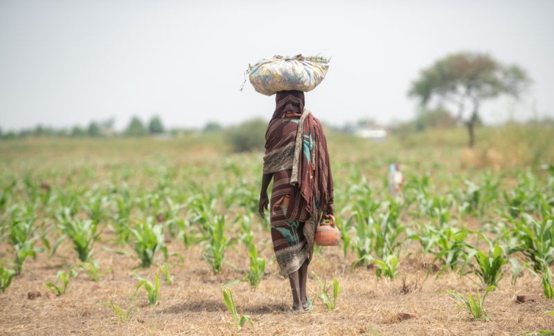 Bâtissons ensemble la Grande Muraille Verte et relevons les défis du Sahel