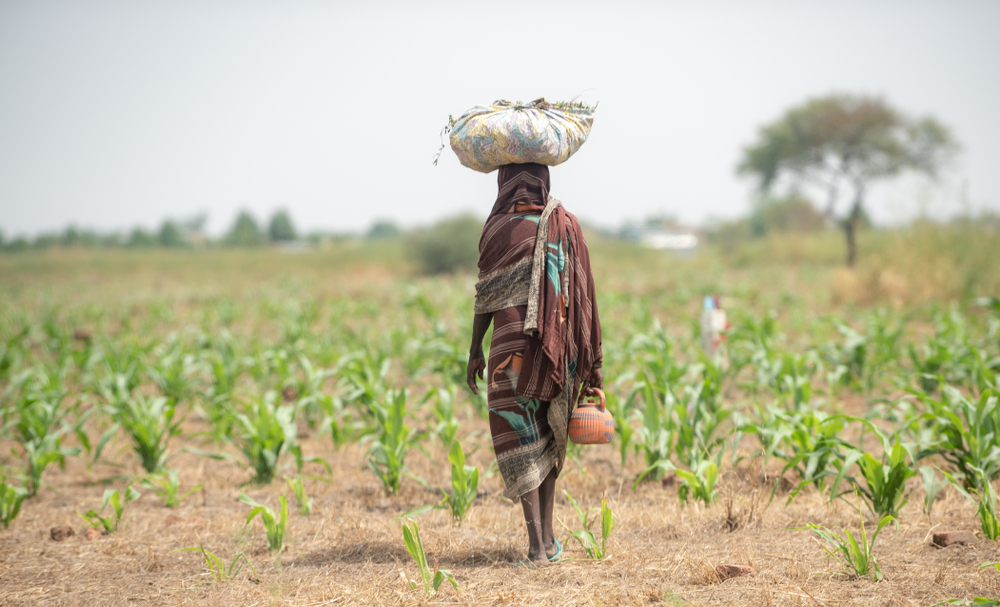 Farmer,African,Girl,Walking,In,Farm,Field,In,Chad,N&rsquo;djamena