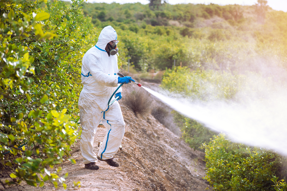 Spray,Ecological,Pesticide.,Farmer,Fumigate,In,Protective,Suit,And,Mask