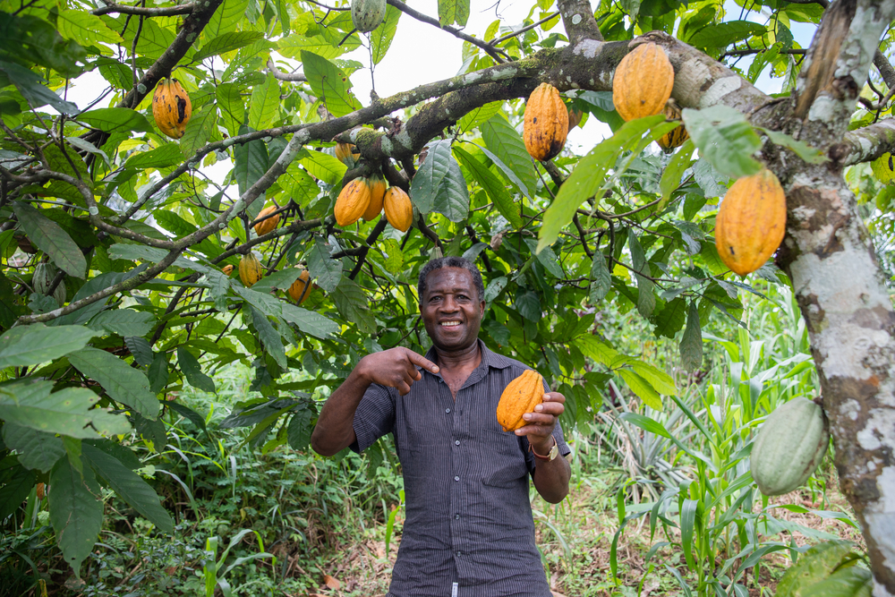 A,Satisfied,Farmer,On,His,Cocoa,Plantation.