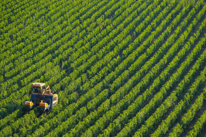 Le plan de relance Européen et le secteur agricole