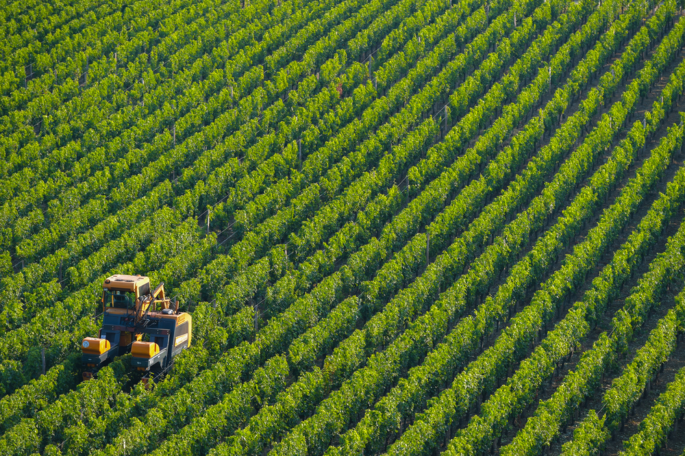 Agricultural,Machine,In,The,Vineyards-landscape-vineyard,South,West,Of,France,,Bordeaux