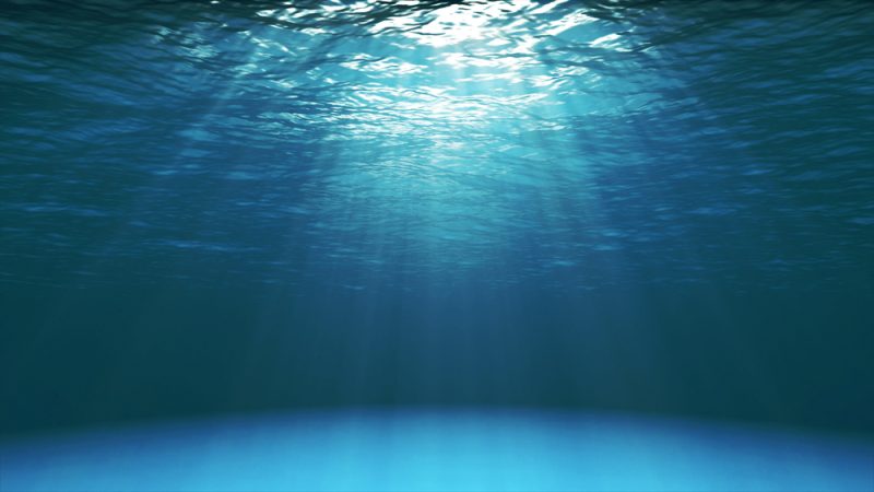 Des dirigeants attendus à Brest pour mieux protéger l'océan
