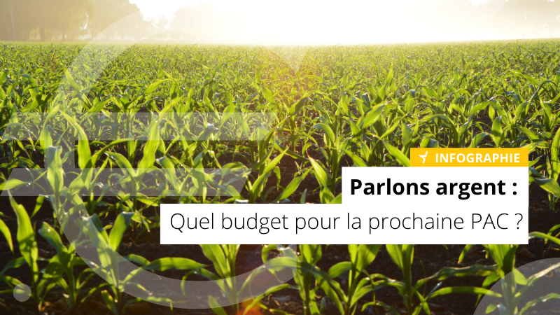 Parlons argent : quel budget pour la prochaine PAC ?