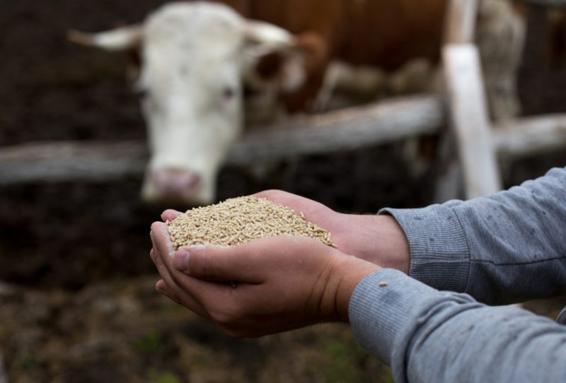 La Commission réaffirme son engagement envers les objectifs écologiques de l’UE lors d’une réunion sur la sécurité alimentaire