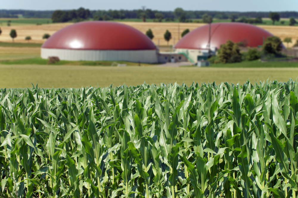 Biogas,Facility,And,Corn,Field,/,Renewable,Resources