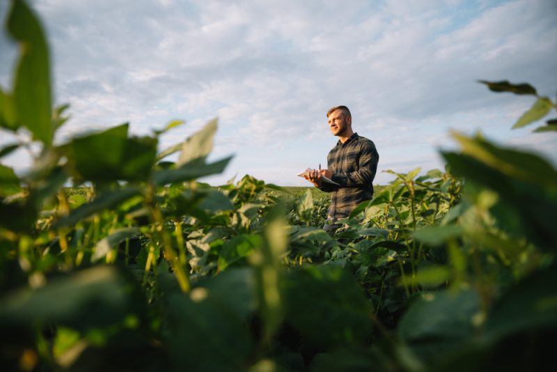 Ukraine : l'UE veut aider les agriculteurs sans sacrifier le "verdissement" des cultures