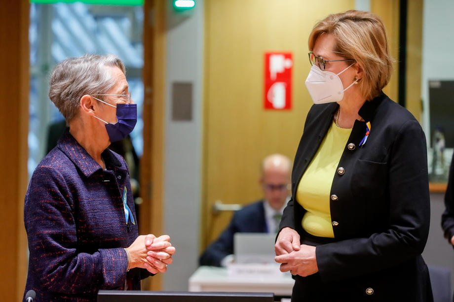 Employment, Social Policy, Health and Consumer Affairs Council