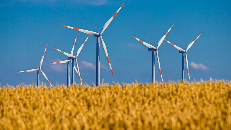 Onze pays de l'UE demandent l'accélération de la transition écologique
