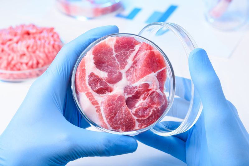 Les entreprises de viande in vitro se préparent aux premières demandes d’autorisation dans l’UE