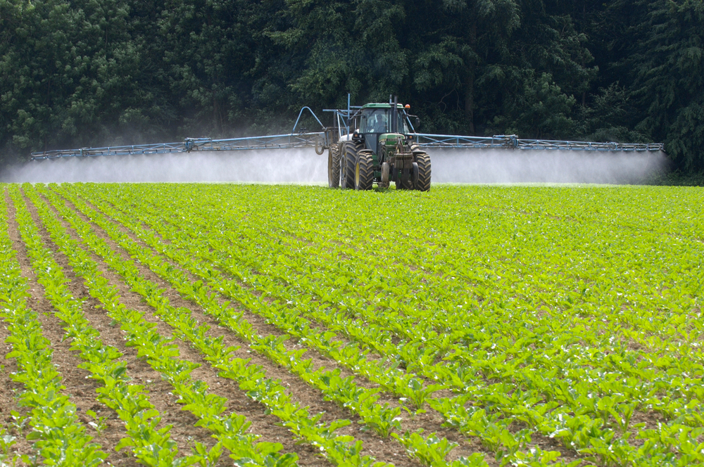 Normandy,,France,,September,2014.,Tractor,Spreading,Weedkiller,On,A,Beet