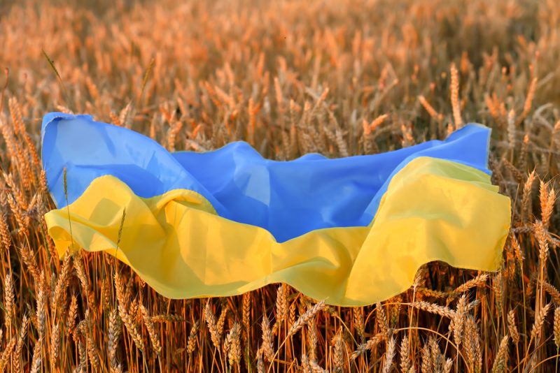 L’UE prévoit une hausse des exportations de céréales pour combler le déficit mondial en blé ukrainien