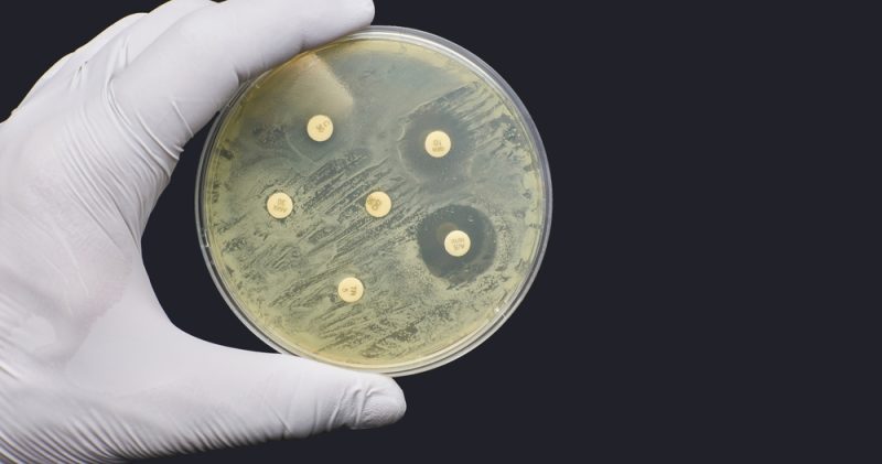 La Commission réaffirme son soutien aux recommandations de l'EMA sur la résistance aux antimicrobiens