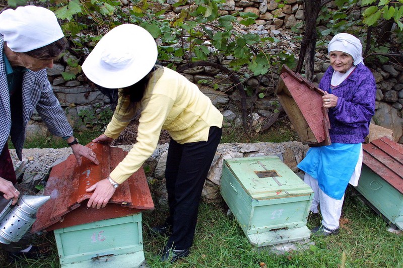 Les apiculteurs albanais prudents face au projet de loi d’alignement sur l’acquis communautaire