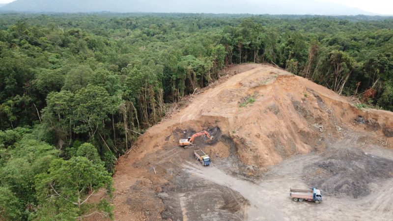 "Pas de produits liés à la déforestation" dans l'UE, assure le commissaire européen à l'Environnement