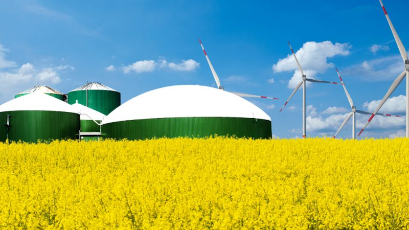 Le secteur agricole se montre prudent quant à l’utilisation des fonds de la PAC pour réduire les importations d’énergie russe