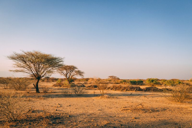 La COP15 contre la désertification s'ouvre à Abidjan