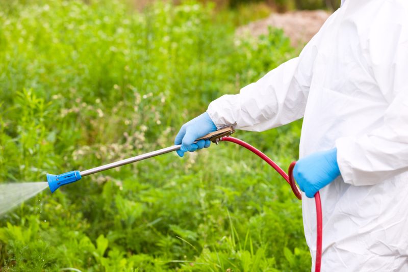 Le glyphosate n'est pas cancérogène, selon un comité d'experts de l'UE