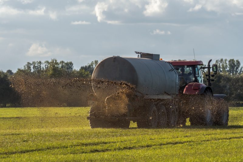 Berlin et Bruxelles parviennent à un compromis sur les nitrates après dix ans