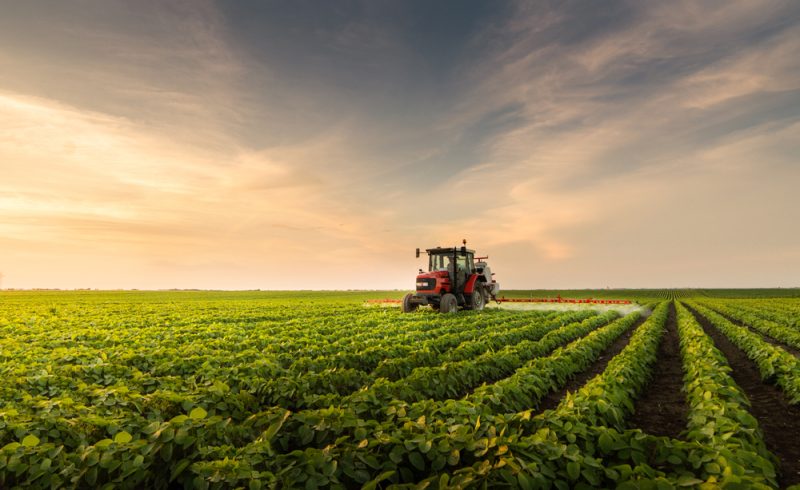 Le label HVE non conforme au droit européen, selon les producteurs bio