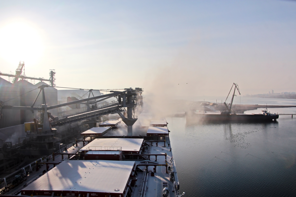 Cargo,Terminal,For,Loading,Grain,Cargoes,And,Containers,By,Shore