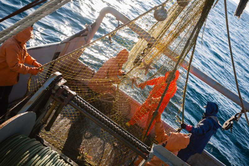 Aides Covid : l'ONG Bloom signale des fraudes de pêcheurs néerlandais au parquet européen