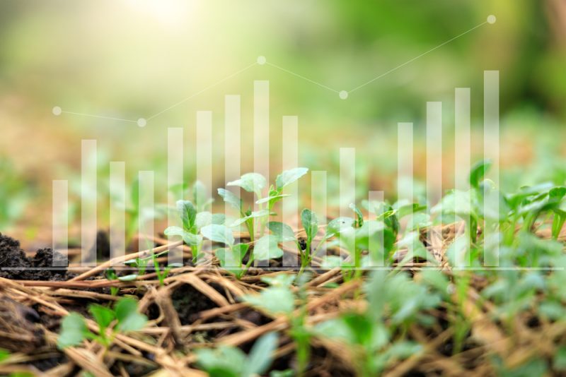 Le Parlement et le Conseil s’accordent provisoirement sur la réforme des statistiques agricoles