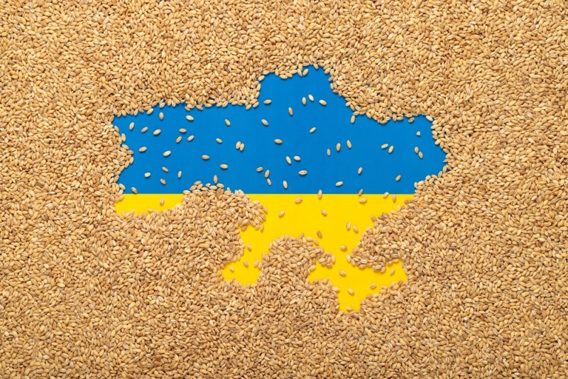 Blocus des ports maritimes ukrainiens : quelles solutions pour l’exportation de céréales depuis l’Ukraine ?